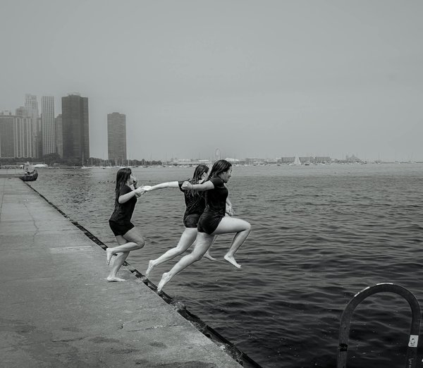 Tout savoir sur l'univers des sangliers