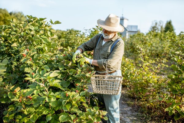 Comment organiser un événement de collecte de fonds réussi pour soutenir une cause qui vous tient à cœur ?