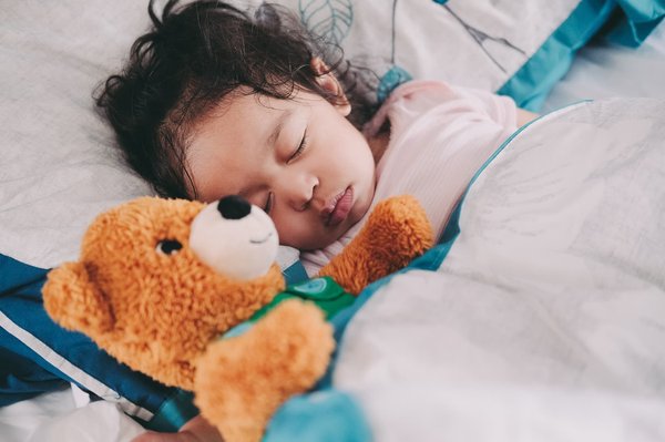 Les adorables compagnons : Peluche Animaux pour une tendresse infinie